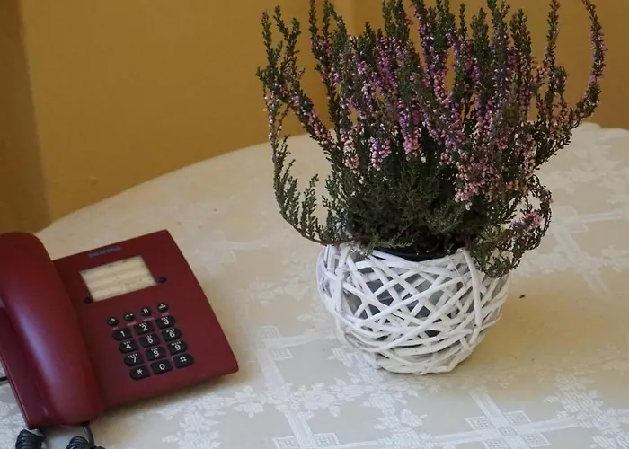 Bks Stal Olimp * Bielsko-Biala